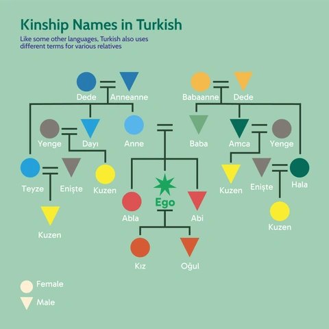 Family tree chart titled 'Kinship Names in Turkish' showing the gender and Turkish names for relatives on both the paternal and maternal sides, spanning three generations relative to 'Ego' (the subject). Circles represent female relatives and triangles represent male relatives.
