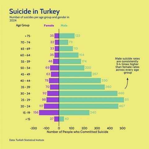 Back-to-back horizontal bar chart (population pyramid style) titled 'Suicide in Turkey' showing the number of suicides by age group and gender in 2024. Male rates (right) are consistently 3-4 times higher than female rates (left) across every age group.