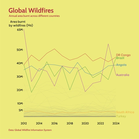 Line chart titled 'Global Wildfires' showing the annual area burnt by wildfires (in Hectares) across different countries from 2012 to 2024. DR Congo, Brazil, Angola, and Australia show the highest areas burnt, with DR Congo peaking near 65M Ha around 2012.